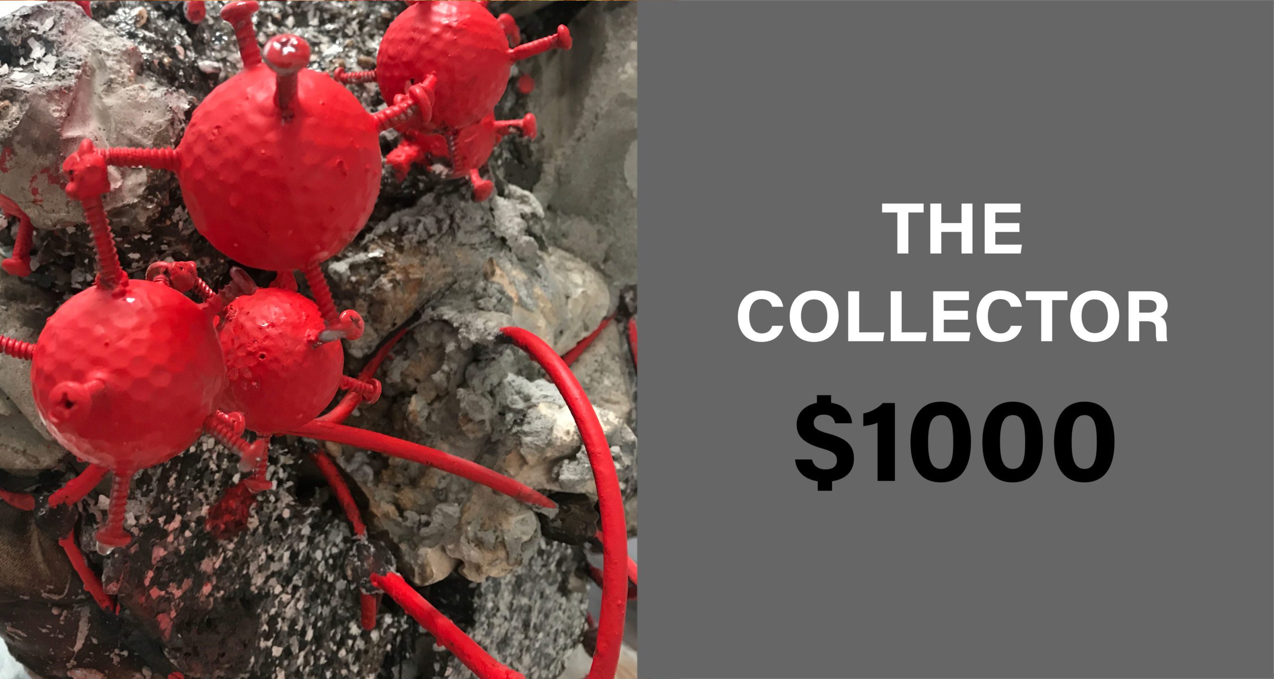 the-collector_membership-level